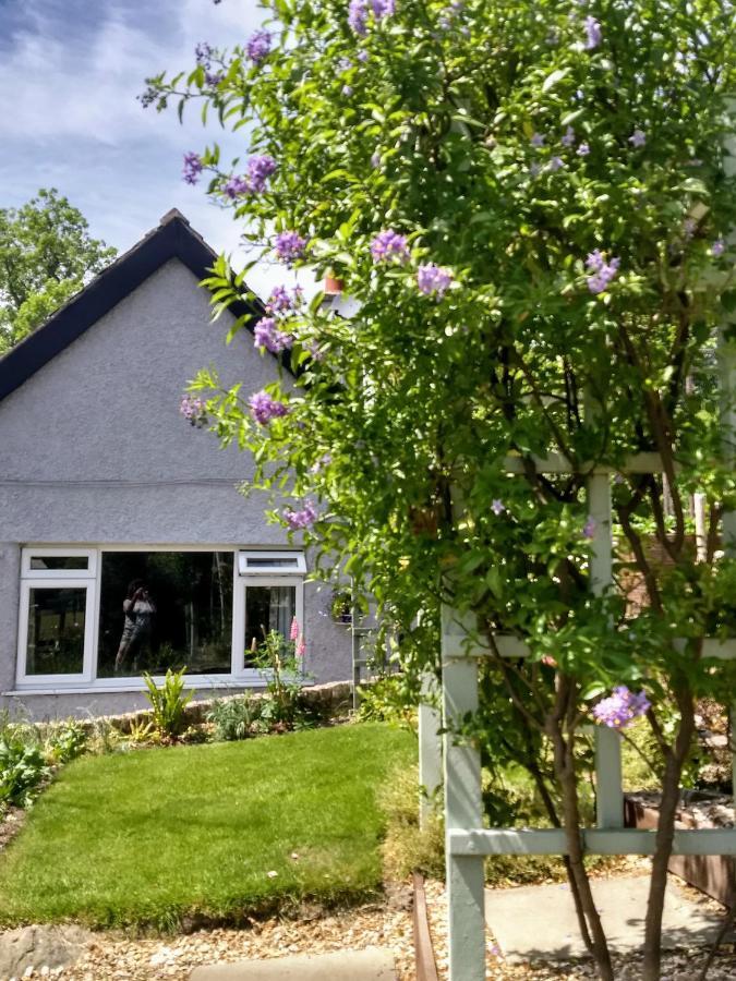 Pentre Isaf Bed & Breakfast Conwy Exterior photo